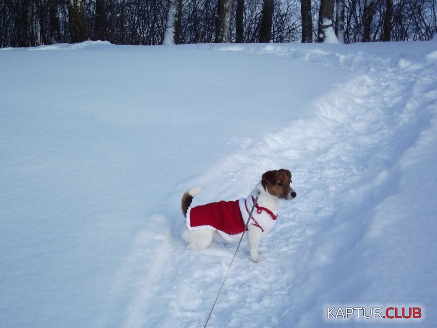 DSCF2639.JPG | Рено Каптур Клуб Россия | Форум KAPTUR.SU