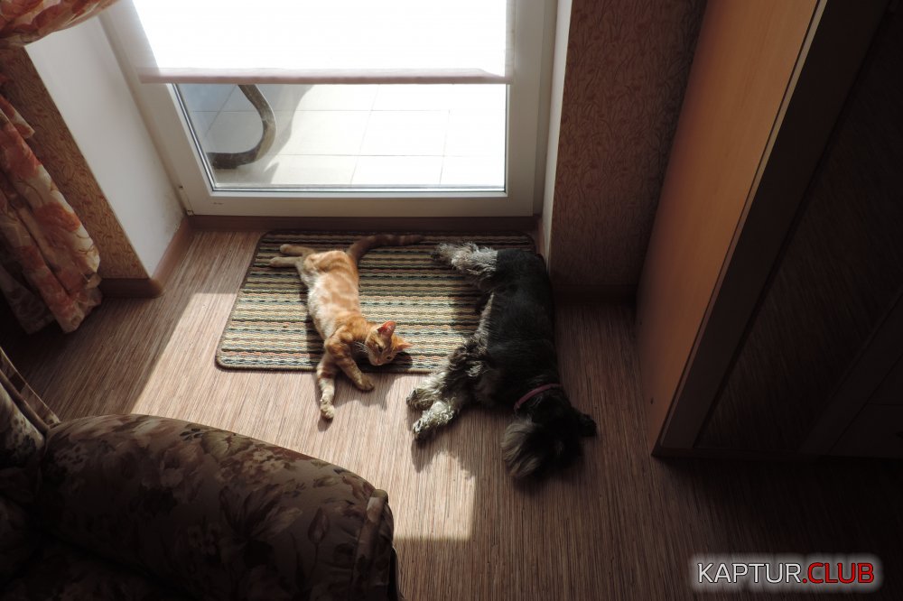 DSCN6241.JPG | Рено Каптур Клуб Россия | Форум KAPTUR.SU