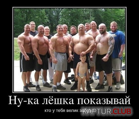 dtkbr.jpg | Рено Каптур Клуб Россия | Форум KAPTUR.SU