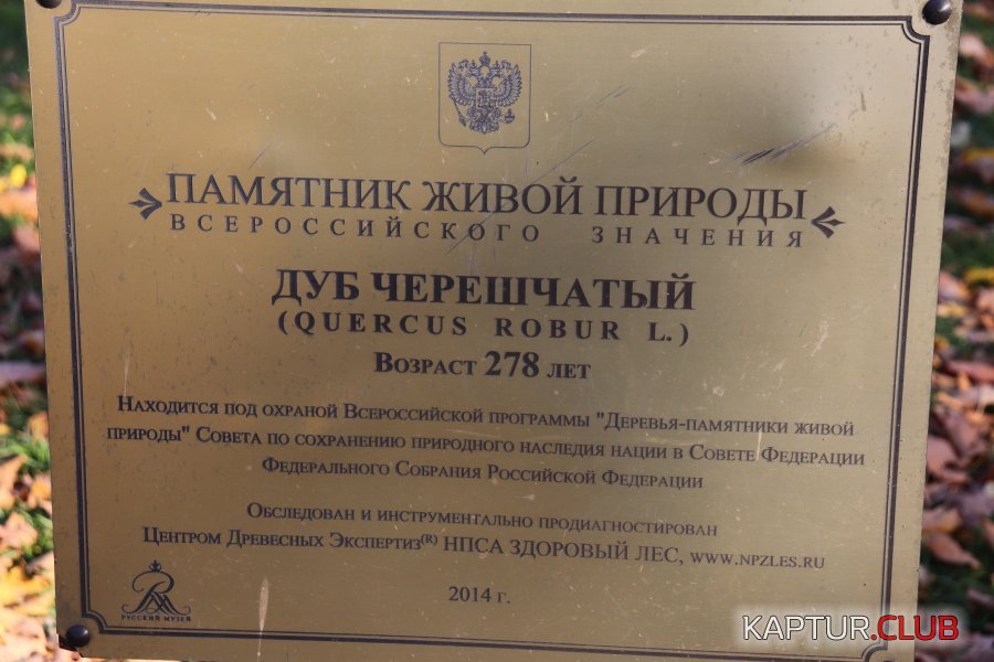 Дуб 2.JPG | Рено Каптур Клуб Россия | Форум KAPTUR.SU