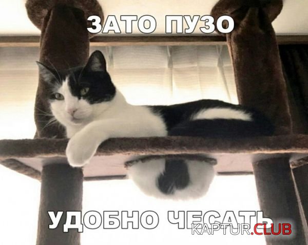 e03b2c923006ebfa7f788b762e1.jpg | Рено Каптур Клуб Россия | Форум KAPTUR.SU