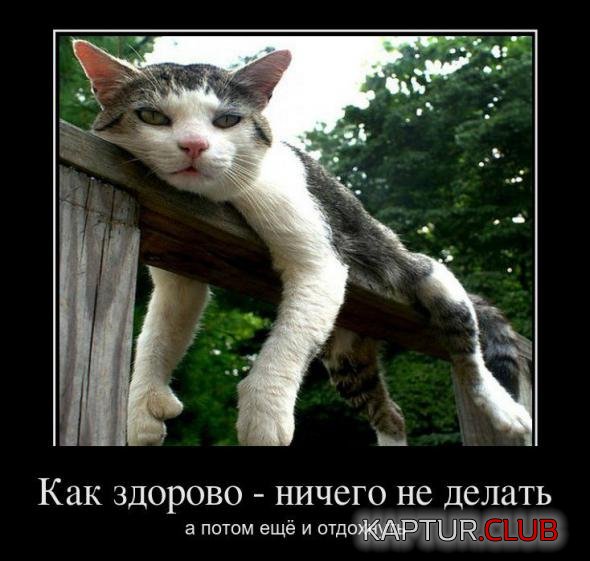 e04b293719326fb307622c4caa0_prev.jpg | Рено Каптур Клуб Россия | Форум KAPTUR.SU