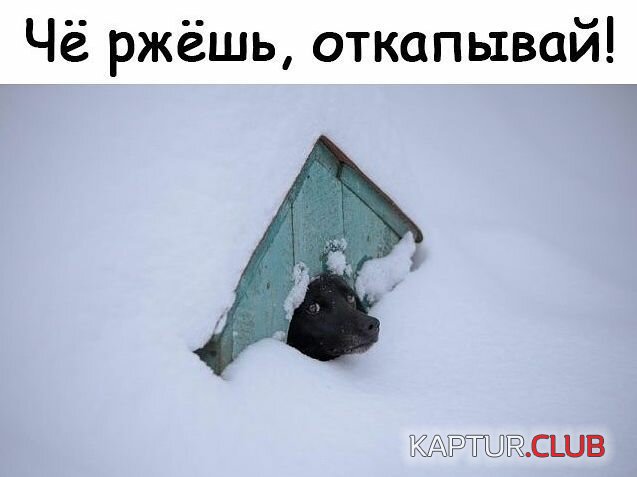 e091f2d6c7233e312a4005acf97.jpg | Рено Каптур Клуб Россия | Форум KAPTUR.SU