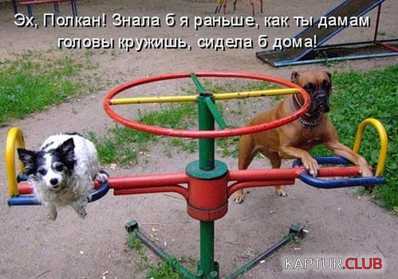 e094193e1e652d342829f066987.jpg | Рено Каптур Клуб Россия | Форум KAPTUR.SU