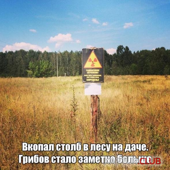 e0a6af30c8453ac36a4a692e6ee_prev.jpg | Рено Каптур Клуб Россия | Форум KAPTUR.SU
