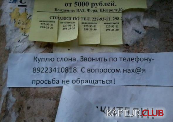 e1492efc4ff2daacfa9c2b9fe8a_prev.jpg | Рено Каптур Клуб Россия | Форум KAPTUR.SU