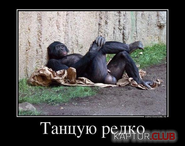 e1571f69b293c82da2440532988_prev.jpg | Рено Каптур Клуб Россия | Форум KAPTUR.SU
