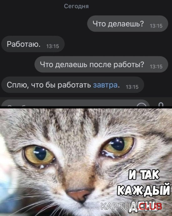 e15c53165a28998f4f2f4b82c65.jpg | Рено Каптур Клуб Россия | Форум KAPTUR.SU