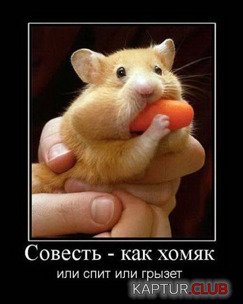 e1e041f22750b2061969e3bbecf.jpg | Рено Каптур Клуб Россия | Форум KAPTUR.SU