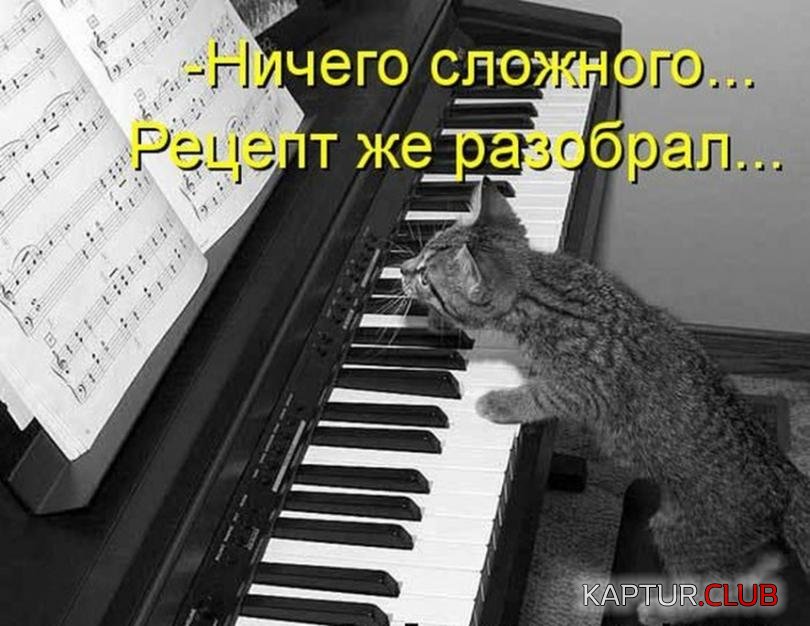 e1e35d735118c2570a34d1a3f0d_prev.jpg | Рено Каптур Клуб Россия | Форум KAPTUR.SU