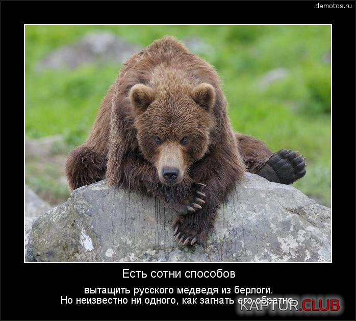 e1e42963e9d51980d5e7718234d.jpg | Рено Каптур Клуб Россия | Форум KAPTUR.SU