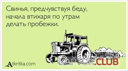 e2352ed4be88c7302e1d3080920.jpg | Рено Каптур Клуб Россия | Форум KAPTUR.SU