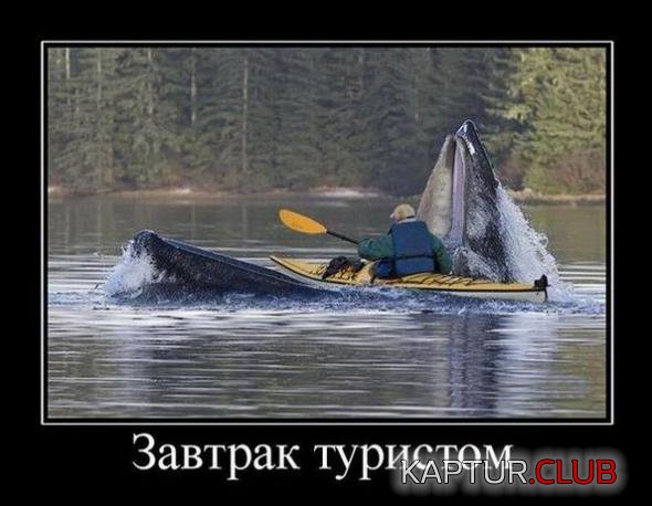e23cfc07d9e3ab38a592b8b4f3c_prev.jpg | Рено Каптур Клуб Россия | Форум KAPTUR.SU