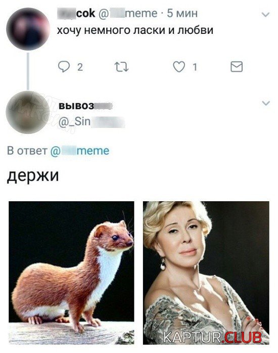 e2617e9a67650a3971d08f786ae.jpg | Рено Каптур Клуб Россия | Форум KAPTUR.SU