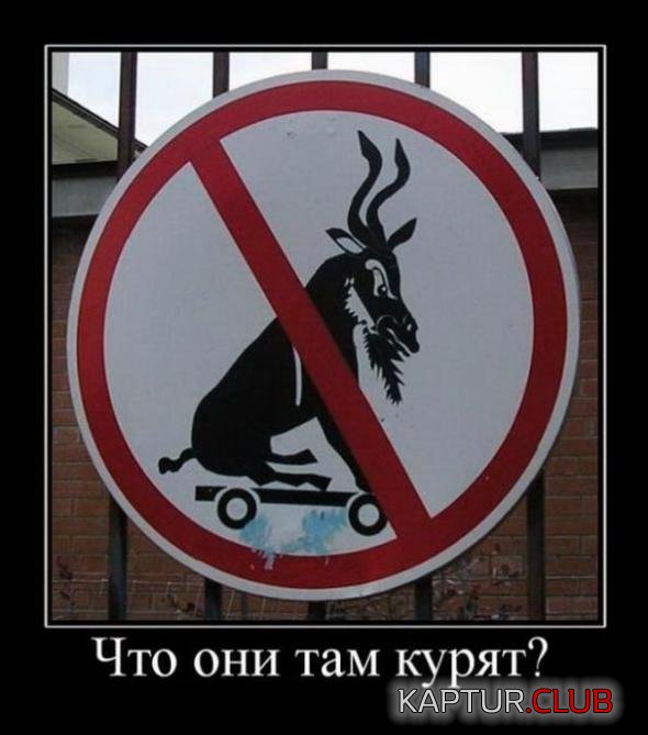 e2656644f20bd0346477b7e1d81_prev.jpg | Рено Каптур Клуб Россия | Форум KAPTUR.SU