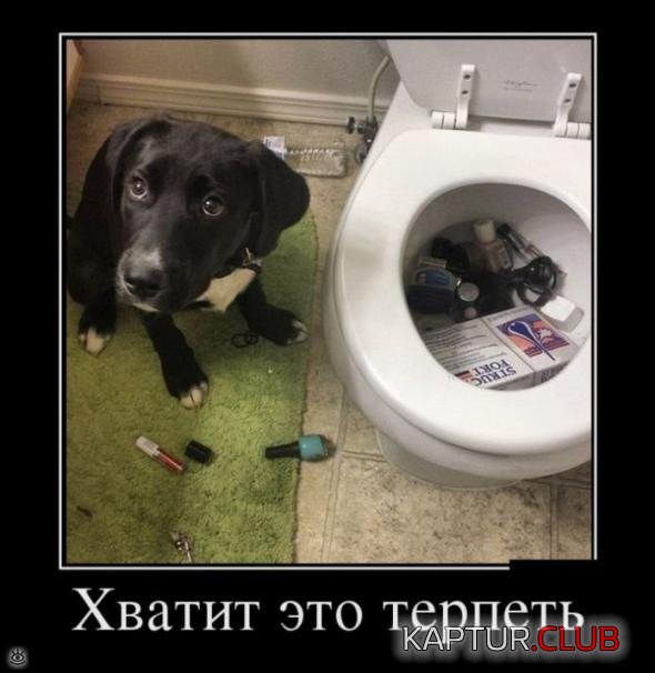 e2effa3b7e43d378bf4b2dd7b91_prev.jpg | Рено Каптур Клуб Россия | Форум KAPTUR.SU