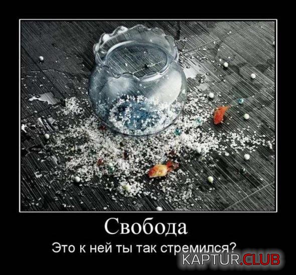 e39d229c63d590160068a384852_prev.jpg | Рено Каптур Клуб Россия | Форум KAPTUR.SU
