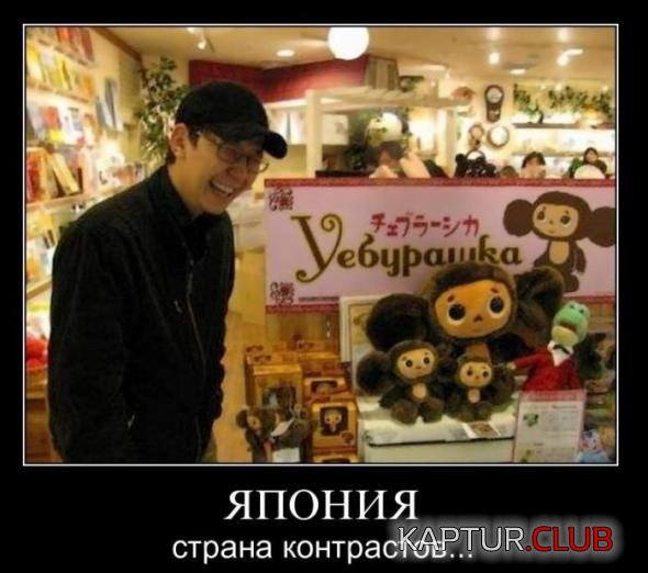 e3e7e97a3f6a466a8c81280e8a4_prev.jpg | Рено Каптур Клуб Россия | Форум KAPTUR.SU