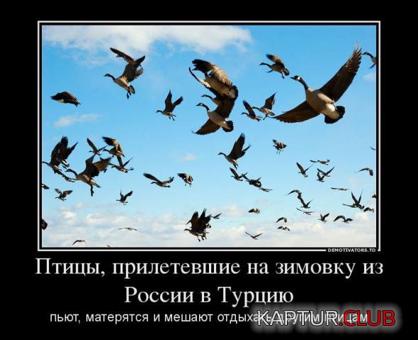 e49b9ba743725d13df24cb37025_prev.jpg | Рено Каптур Клуб Россия | Форум KAPTUR.SU
