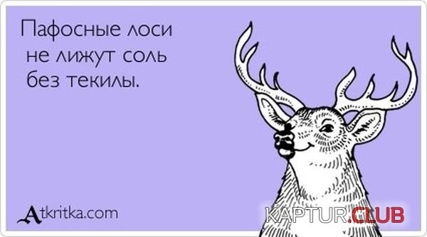 e54e96a26a0c640dcb08f52a827.jpg | Рено Каптур Клуб Россия | Форум KAPTUR.SU
