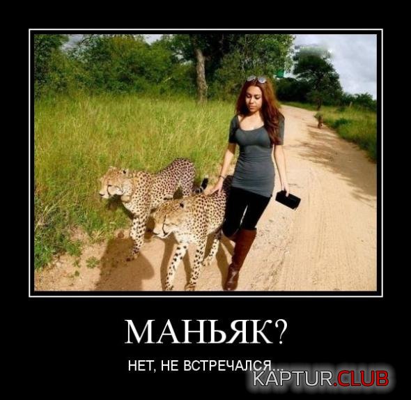 e5a8abcacf8f37a4da34e645095_prev.jpg | Рено Каптур Клуб Россия | Форум KAPTUR.SU