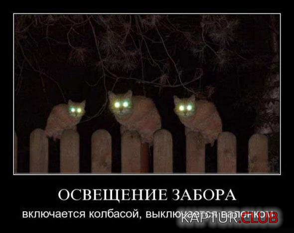 e60207d1d0fd1ac45de982e5eeb_prev.jpg | Рено Каптур Клуб Россия | Форум KAPTUR.SU