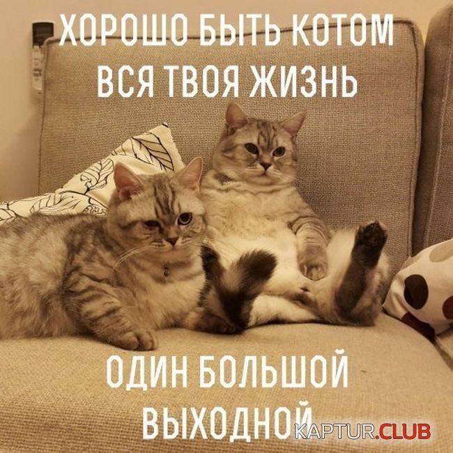 e60c0bc9e5745d2a40b02211988.jpg | Рено Каптур Клуб Россия | Форум KAPTUR.SU