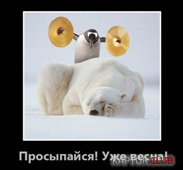 e63956d448def2bac1172275c66_prev.jpg | Рено Каптур Клуб Россия | Форум KAPTUR.SU