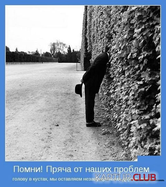 e65bc68dce0d2cdad5fa9ce5d78.jpg | Рено Каптур Клуб Россия | Форум KAPTUR.SU