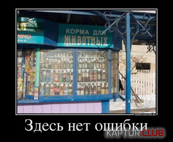 e69e10d38040cb17c7c55b544cd_prev.jpg | Рено Каптур Клуб Россия | Форум KAPTUR.SU