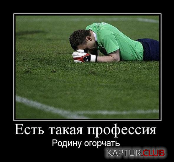 e6b0c0b51ad1251537c8fb108de_prev.jpg | Рено Каптур Клуб Россия | Форум KAPTUR.SU