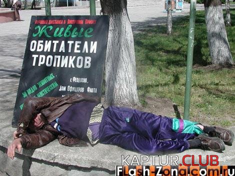 e6db7352f444efa843c7e03322162695_full.jpg | Рено Каптур Клуб Россия | Форум KAPTUR.SU