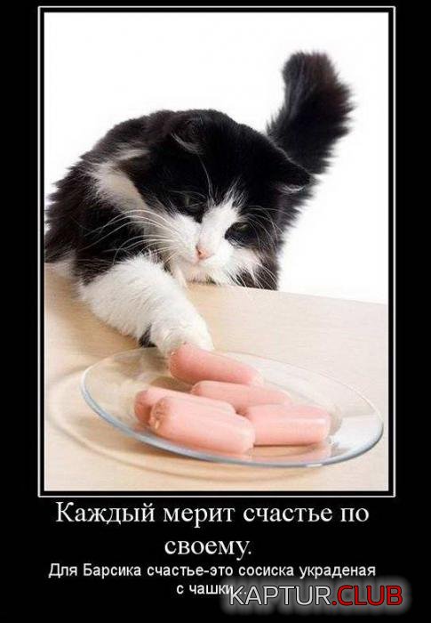 e6ff945f1381098bf96ed5779c5_prev.jpg | Рено Каптур Клуб Россия | Форум KAPTUR.SU