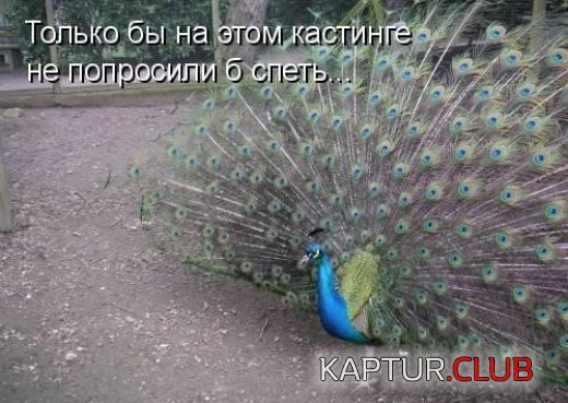 e70333f808b721c0063750a4e45ccfbe_full.jpg | Рено Каптур Клуб Россия | Форум KAPTUR.SU