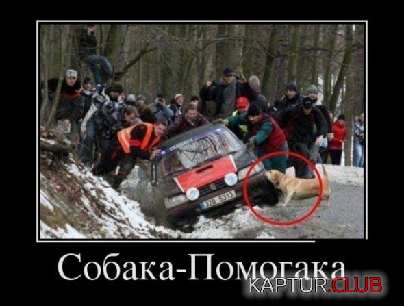 e719b2c5d43627c7c5b699c4313_prev.jpg | Рено Каптур Клуб Россия | Форум KAPTUR.SU