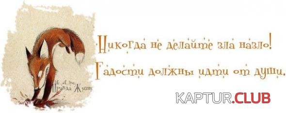e7565a6b39657bc501024faf33b_prev.jpg | Рено Каптур Клуб Россия | Форум KAPTUR.SU