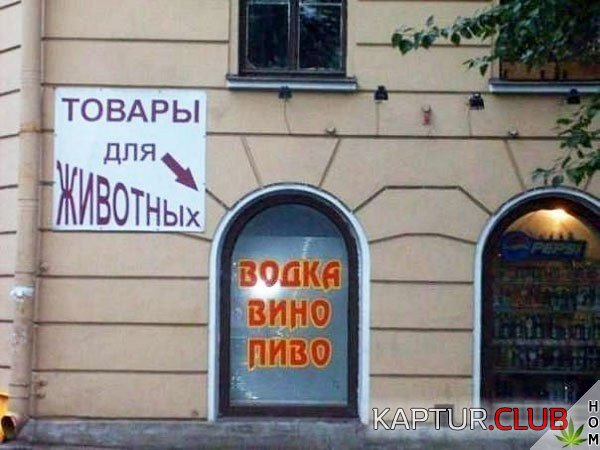 e7b237ec4ebc1470b8f1be36d52.jpg | Рено Каптур Клуб Россия | Форум KAPTUR.SU