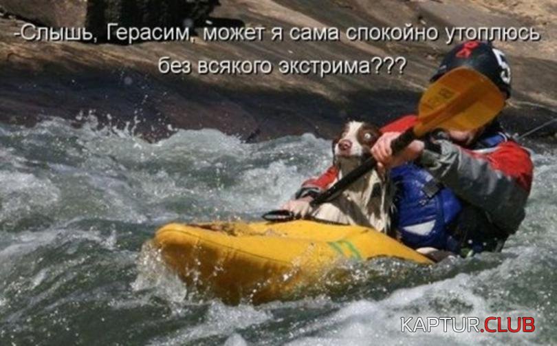 e7d1f7bd6f53164e43e9a3483d9_prev.jpg | Рено Каптур Клуб Россия | Форум KAPTUR.SU