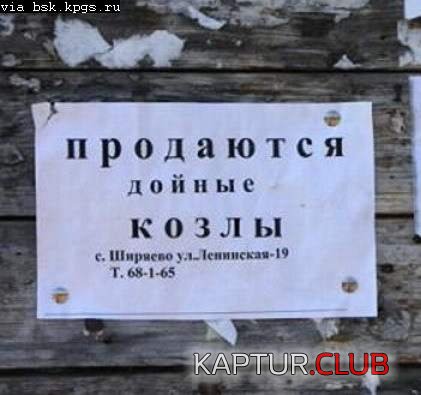 e81b457bd52011d65f674774418f7ce7_full.jpg | Рено Каптур Клуб Россия | Форум KAPTUR.SU