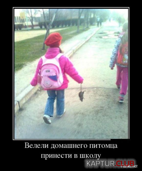 e856e7dbc4a17714d7df8275c0c_prev.jpg | Рено Каптур Клуб Россия | Форум KAPTUR.SU