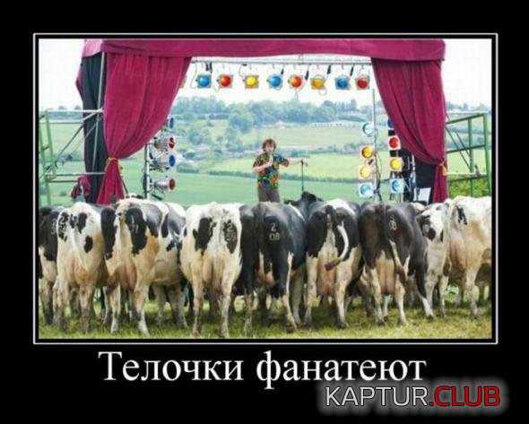 e8920418cd9f4731c555d469469_prev.jpg | Рено Каптур Клуб Россия | Форум KAPTUR.SU