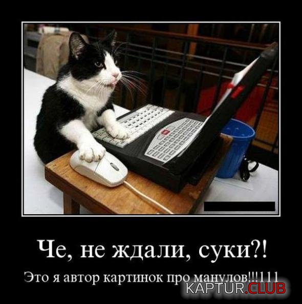 e8caba6d9ef5afaee5e8ac89b71_prev.jpg | Рено Каптур Клуб Россия | Форум KAPTUR.SU