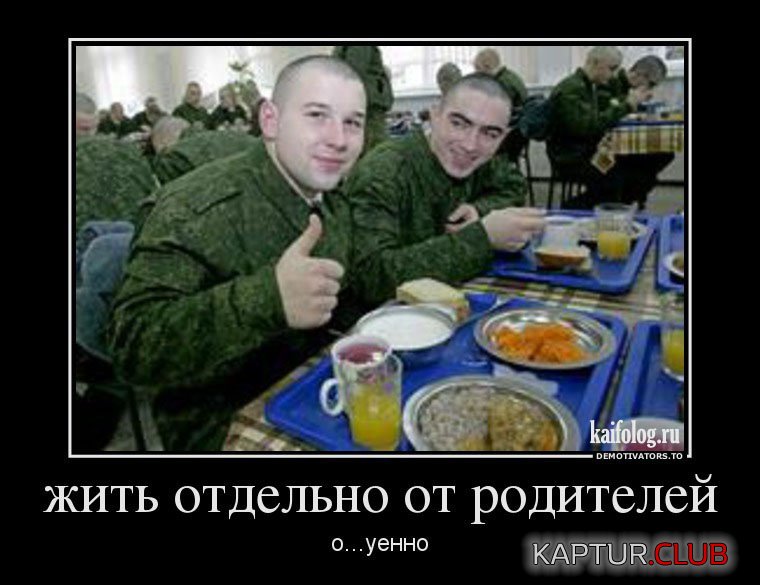 e99f8fd8d78ccf436346354832a.jpg | Рено Каптур Клуб Россия | Форум KAPTUR.SU