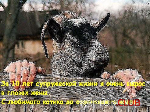 ea0c856f06fb418985b0827bf2b.jpg | Рено Каптур Клуб Россия | Форум KAPTUR.SU