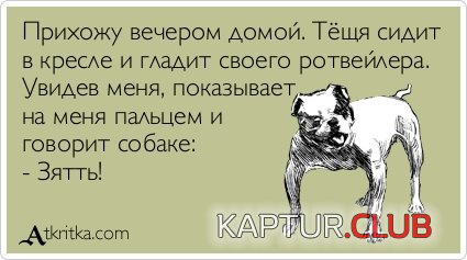 ea2cfead3c0bb8e0d4d5c539837.jpg | Рено Каптур Клуб Россия | Форум KAPTUR.SU