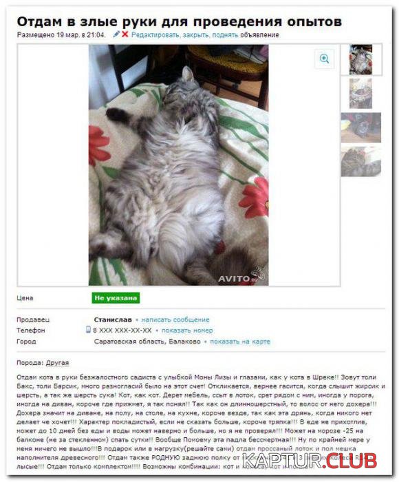 ea2e3f5c253b491925ddaa2fb3b_prev.jpg | Рено Каптур Клуб Россия | Форум KAPTUR.SU