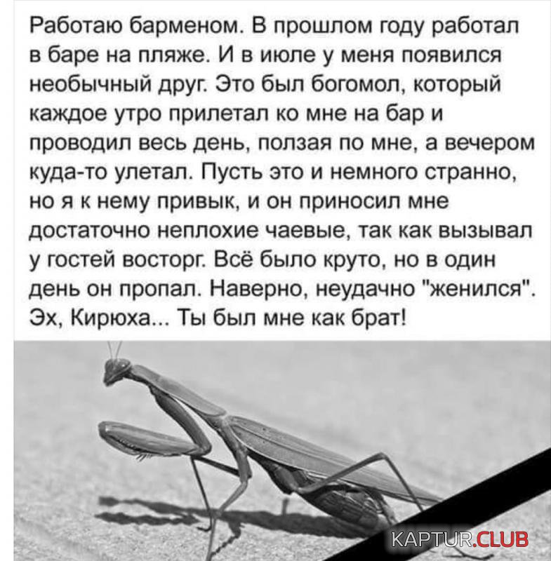 ea3ed3deb5da767bc9e2ddde979_prev.jpg | Рено Каптур Клуб Россия | Форум KAPTUR.SU