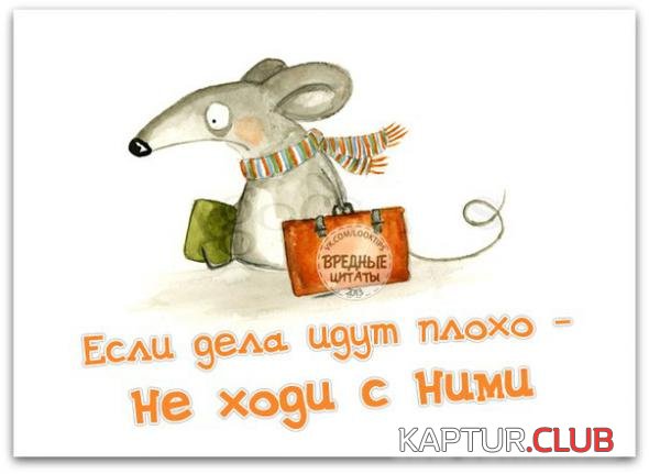 ea5c9ea901a5d71ec3b1911a7d9_prev.jpg | Рено Каптур Клуб Россия | Форум KAPTUR.SU
