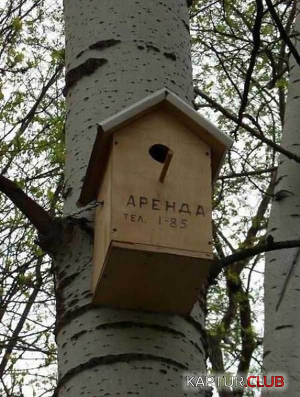 ea728e8d6dcbf1e9c88687f98716e972_full.jpg | Рено Каптур Клуб Россия | Форум KAPTUR.SU