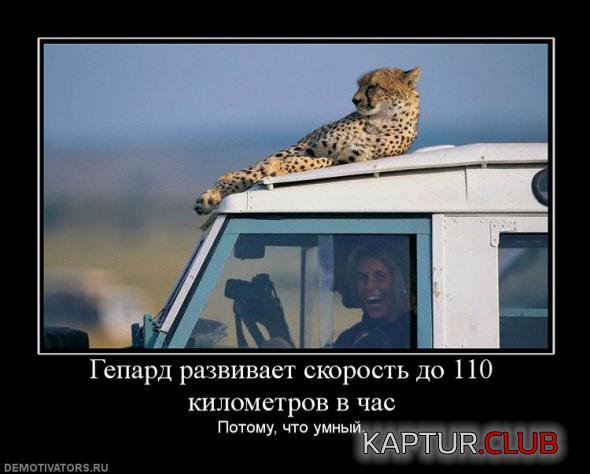 ea846688d0bfc7a2f5ad81fc164_prev.jpg | Рено Каптур Клуб Россия | Форум KAPTUR.SU
